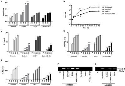 Adrenal Steroids Modulate Fibroblast-Like Synoviocytes Response During B. abortus Infection